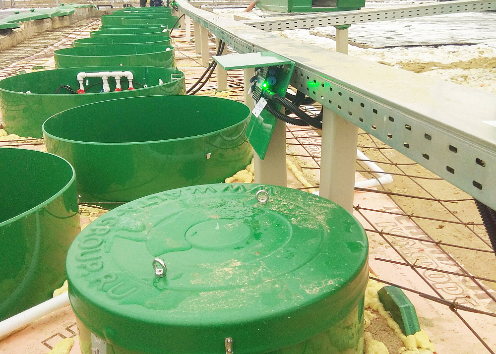 Хозяйственно-бытовой сток - 100м3 в сутки, коммунальные очистные сооружения поселка, п. Дубровичи, Рязанская обл.